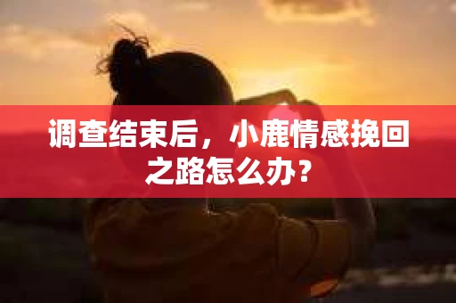 调查结束后，小鹿情感挽回之路怎么办？