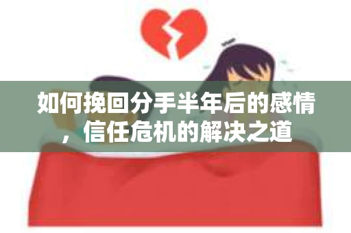 如何挽回分手半年后的感情，信任危机的解决之道
