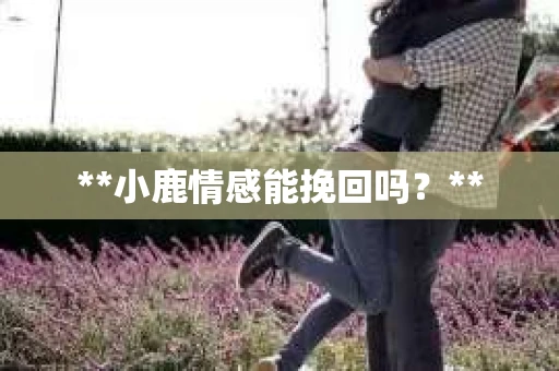 **小鹿情感能挽回吗？**