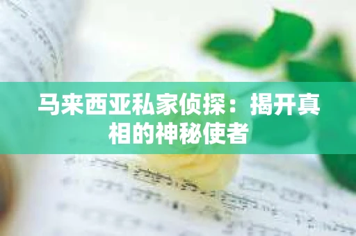 马来西亚私家侦探：揭开真相的神秘使者