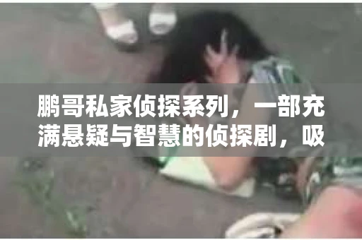 鹏哥私家侦探系列，一部充满悬疑与智慧的侦探剧，吸引了无数观众的眼球。今天，就让我带你走进这个充满神秘色彩的侦探世界，一起在线观看鹏哥私家侦探系列，感受那扣人心弦的故事情节。