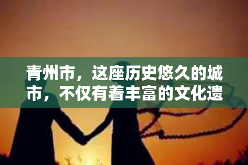 青州市，这座历史悠久的城市，不仅有着丰富的文化遗产，也有着现代生活的便捷。那么，问题来了——青州市有私家侦探公司吗？这个问题，对于需要侦探服务的人来说，无疑至关重要。接下来，我就来为大家揭开这个谜底。