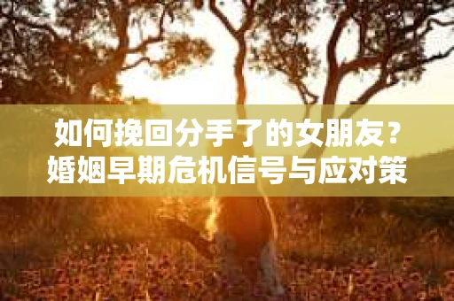 如何挽回分手了的女朋友？婚姻早期危机信号与应对策略