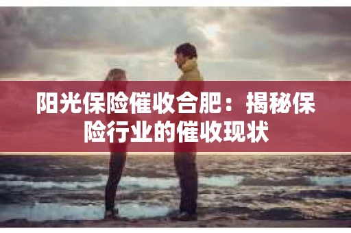 阳光保险催收合肥：揭秘保险行业的催收现状