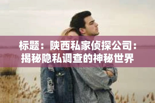 标题：陕西私家侦探公司：揭秘隐私调查的神秘世界