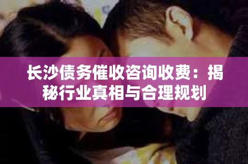 长沙债务催收咨询收费：揭秘行业真相与合理规划