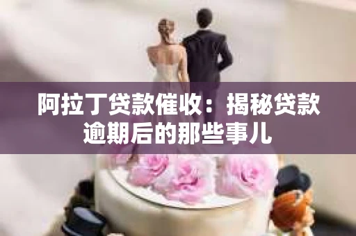 阿拉丁贷款催收：揭秘贷款逾期后的那些事儿