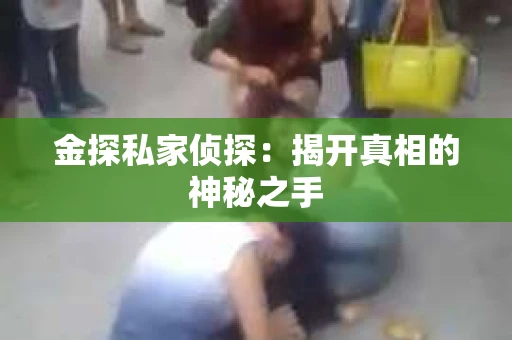 金探私家侦探：揭开真相的神秘之手