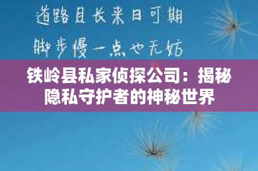铁岭县私家侦探公司：揭秘隐私守护者的神秘世界