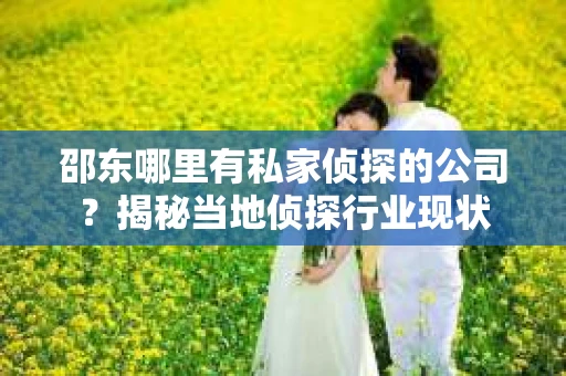 邵东哪里有私家侦探的公司？揭秘当地侦探行业现状