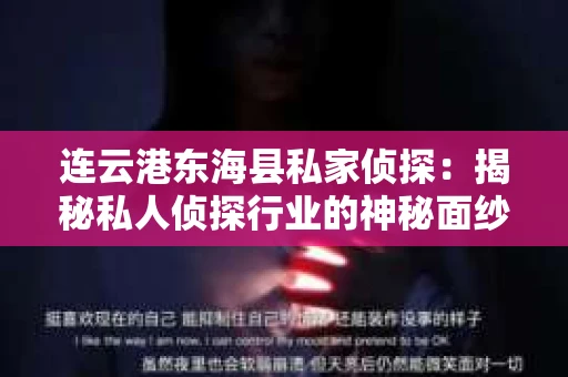 连云港东海县私家侦探：揭秘私人侦探行业的神秘面纱