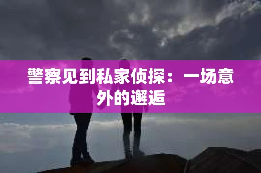 警察见到私家侦探：一场意外的邂逅