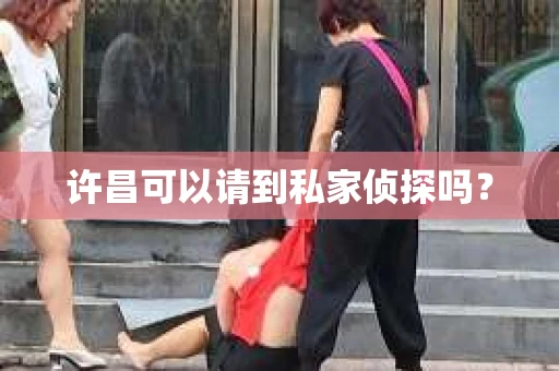 许昌可以请到私家侦探吗？