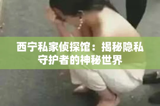 西宁私家侦探馆：揭秘隐私守护者的神秘世界