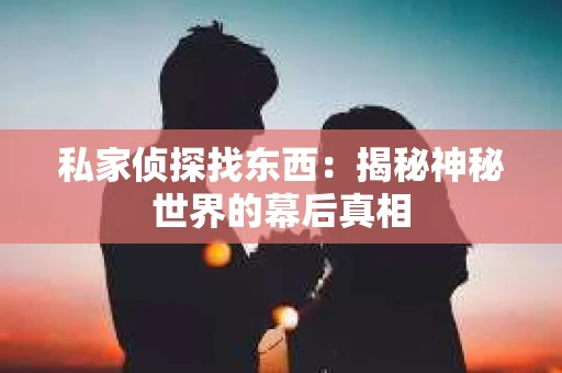 私家侦探找东西：揭秘神秘世界的幕后真相