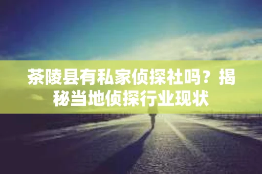 茶陵县有私家侦探社吗？揭秘当地侦探行业现状