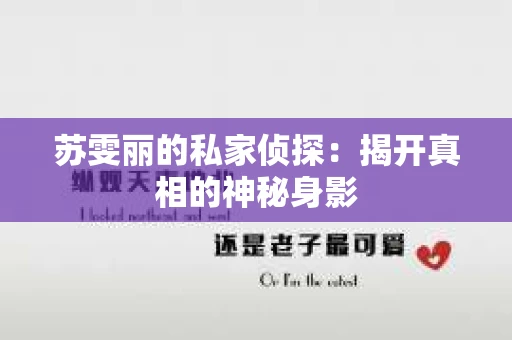 苏雯丽的私家侦探：揭开真相的神秘身影