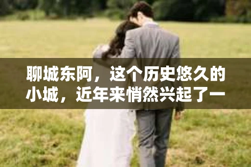 聊城东阿，这个历史悠久的小城，近年来悄然兴起了一股新的服务潮流——私家侦探。今天，我们就来聊聊这个话题，看看在聊城东阿，私家侦探是如何成为人们生活中的一部分的。