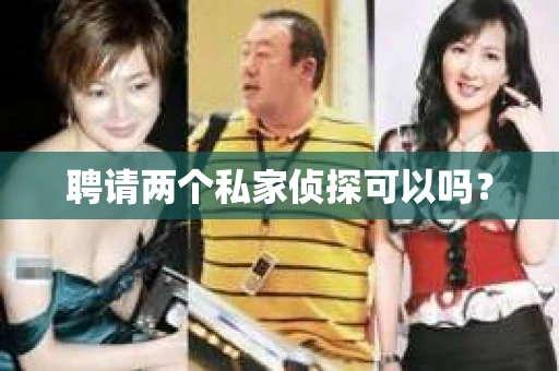 聘请两个私家侦探可以吗？