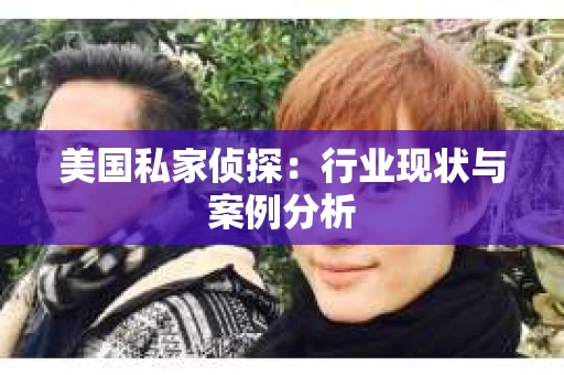 美国私家侦探：行业现状与案例分析