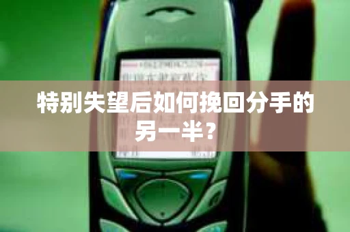 特别失望后如何挽回分手的另一半？