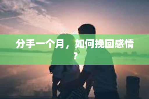分手一个月,如何挽回感情? 分手一个月,如何挽回感情?