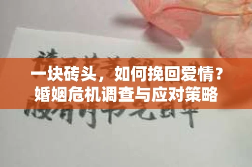 一块砖头，如何挽回爱情？婚姻危机调查与应对策略