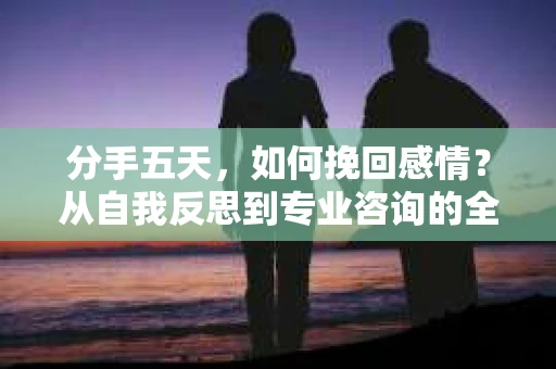 分手五天,如何挽回感情?从自我反思到专业咨询的全面解决方案 分手五天,如何挽回感情?从自我反思到专业咨询的全面解决方案