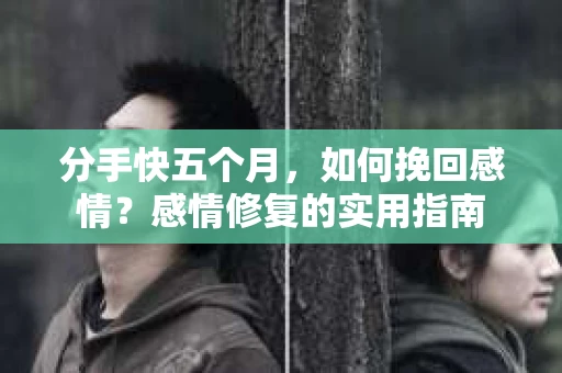 分手快五个月，如何挽回感情？感情修复的实用指南